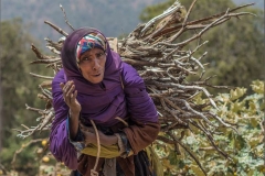 Collecting-the-firewood-by-Jenny-Webster