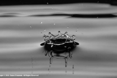 Water-Droplet-by-James-Fountain