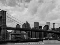 RebekahNash_BrooklynBridge