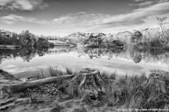 Tarn-Hows-by-Mike-Childs