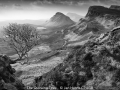 JanHarris_TheQuiraingTree