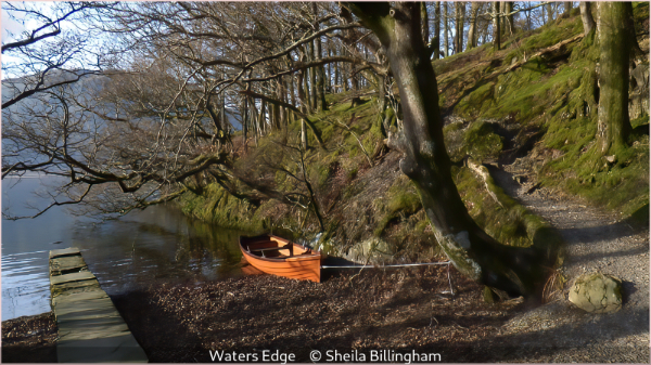 Sheila-Billingham_Waters-Edge_1