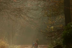 Autumn-Stroll-by-John-Davidson