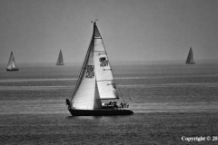 Perfect-Sailing-Day-by-Jan-Harris