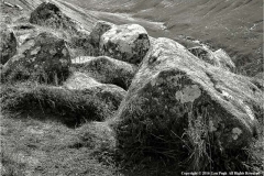 Rocks-by-Len-Pugh