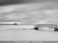 Nick-Veale_Bridge-To-Nowhere_1