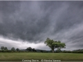 Novice_Monica-Vaness_Coming-Storm_1_Highly-Commended