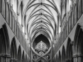 Open_Judith-Davison_Wells-Cathedral_1_Highly-Commended