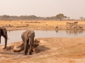 Malcolm-Wharton_The-Waterhole_1