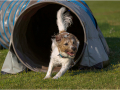 Commended_Through-the-tunnel_Kay-Wroe-LRPS