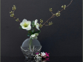 Commended_Early-spring-flowers_Sheila-Ballantyne-Smith