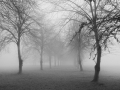 First_Coughton-Avenue_Alan-Helmore