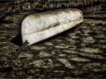 Third_Chained-Forgotten_Alan-Walter-McCormick
