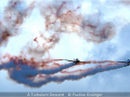 Pauline-Grainger_A-Turbulent-Descent_1