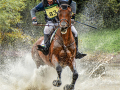 Sue-Vernon_1.-Making-A-Splash_1