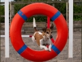DaphneDay_RubyThroughTheHoop