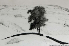 Swaledale-in-White-by-Len-Pugh