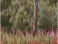 Ian-Bowes_Autumn-Abstract_1