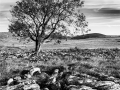 Richard-Parkes_Malham-Limestone-Pavement_1