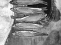 Fishy Tune by Roger Lewis