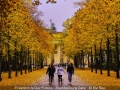 EleRea_FreedomIsOurFutureBrandenburgGate
