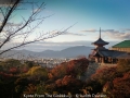 JudithDavison_KyotoFromTheGinkakuji