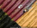 RuthSeadon_DistressedPaint