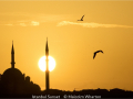 Malcolm-Wharton_Istanbul-Sunset_1