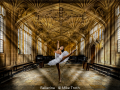 Mike-Troth_Ballerina_1