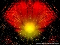 Sunburst-by-Mike-Childs