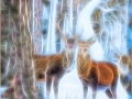 Magical Stags by Jenny Webster