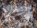 Wind Sculptured Ice Patterns by Ruth Seadon