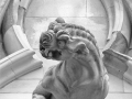 Malcolm-Wharton_Grotesque-York-Minster_1