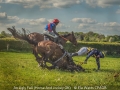 Ele-Watts_An-Ugly-Fall-Horse-And-Jockey-OK_1