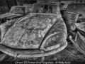 Andy-Kent_Citroen-DS-Rotten-And-Forgotten_1