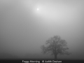 JudithDavison_FoggyMorning