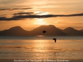 RebeccaBoardman_SundownOnTheSound