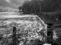 Novice_Anne-Galbraith-Jellie_Snowy-Farm-Tracks_1_Selected