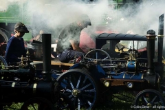 Steam-Up-copy