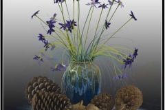still_life