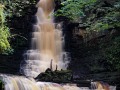 The-Golden-Falls
