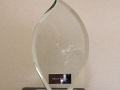 Print Panel Trophy