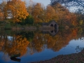 Novice_Anne-Galbraith-Jellie_The-Boathouse-At-Dunmaston-Hall_1_First