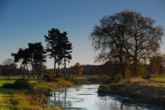 Croome-Park