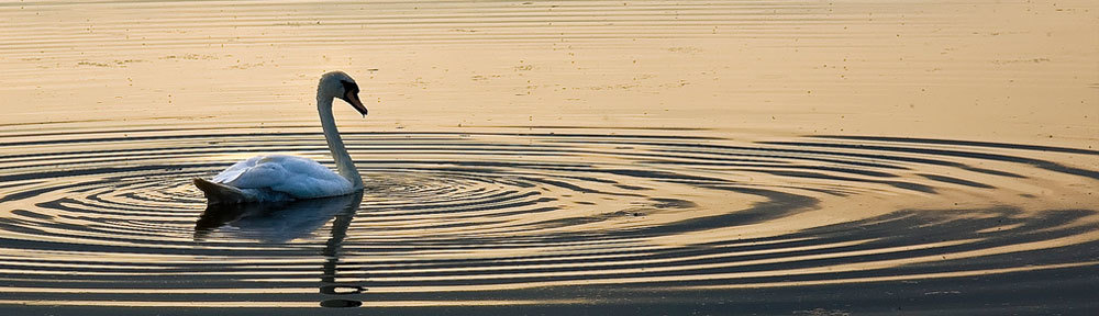 Bromsgrove Photographic Society