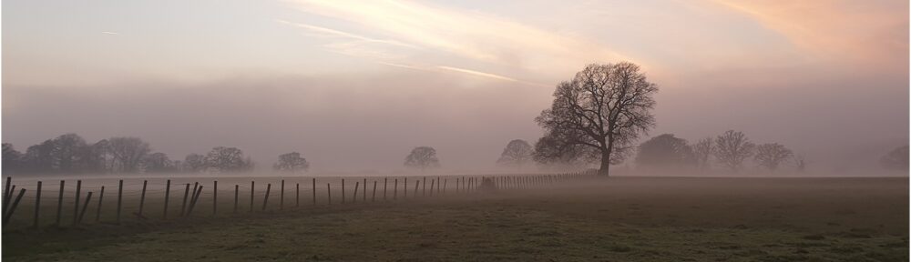 Bromsgrove Photographic Society